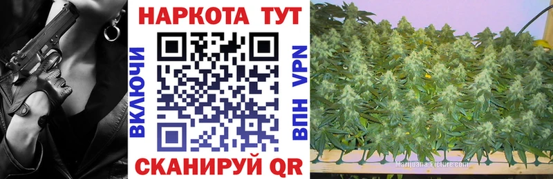 Где продают наркотики Торжок АМФЕТАМИН  Метадон  hydra как войти  Каннабис  СК  COCAIN  Гашиш 